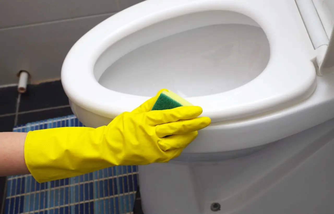 Addio alle macchie gialle: ecco come sbiancare il WC con due prodotti casalinghi