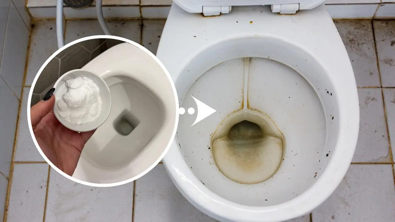 Addio alle macchie gialle: ecco come sbiancare il WC con due prodotti casalinghi Immagine selezionata