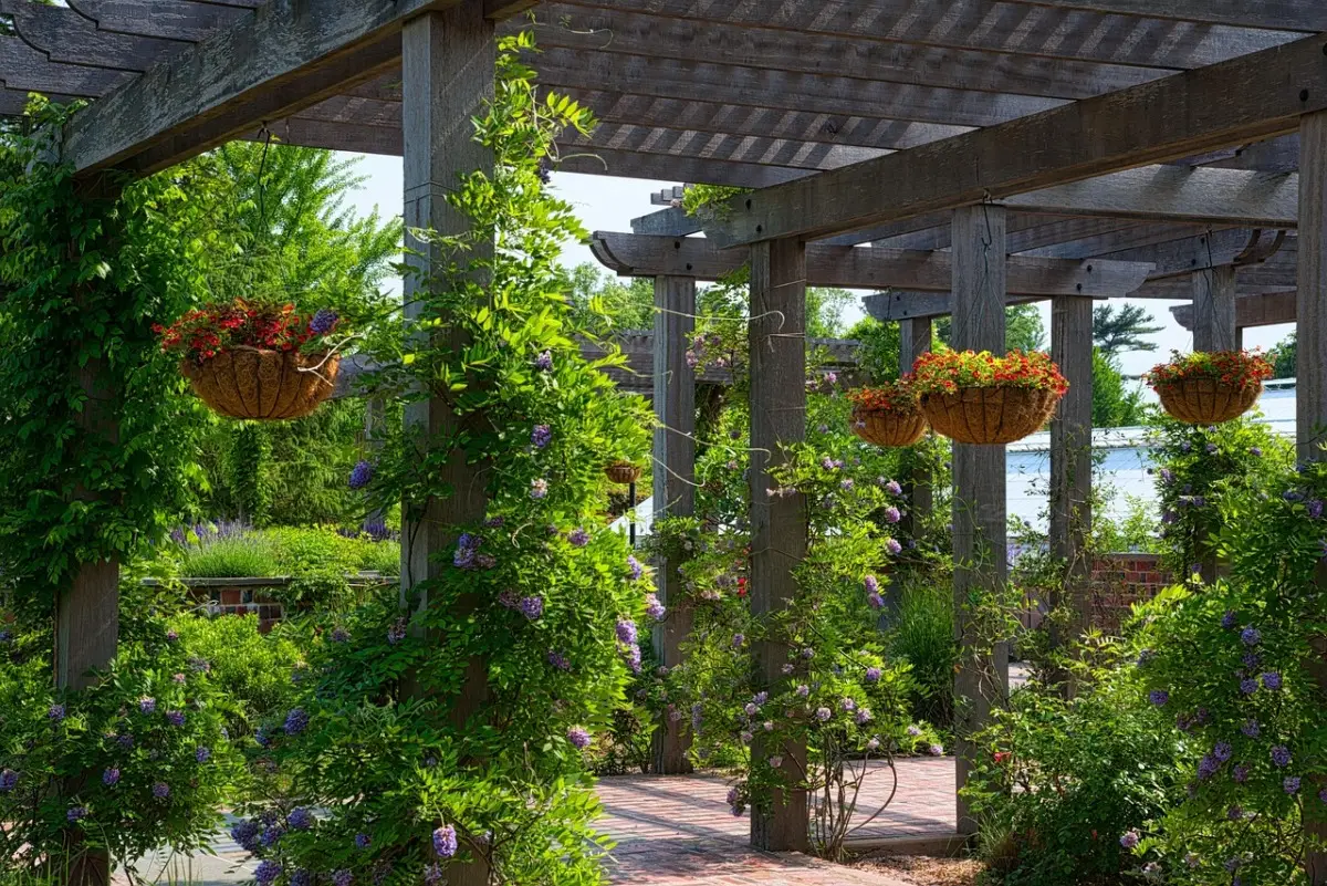 Costruire una pergola senza permessi? Ecco come evitare multe e problemi