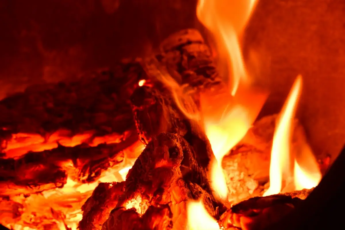 Antico forno salvato dal fallimento: ecco la rinascita che ha commosso un intero paese Immagine selezionata